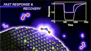 Photoexcited NO2 Enables Accelerated Response and Recovery Kinetics in Light-Activated NO2 Gas Sensing