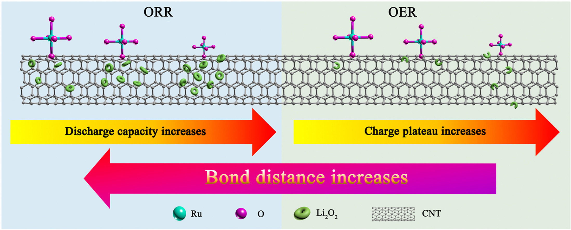 Balancing oxygen evolution reaction and oxygen reduction reaction processes in Li–O2 batteries through tuning the bond distances of RuO2