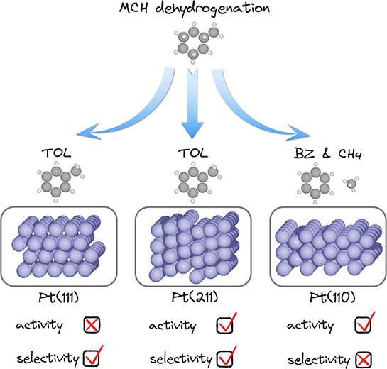 Computational Study of Structure Sensitivity in Methylcyclohexane Dehydrogenation on Platinum