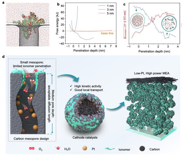 Carbon mesopore depth engineering boosts the performance of low-platinum fuel cells