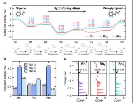 Circumventing the wettability issue of heterogeneous metal catalysts for solvent-free organic transformations